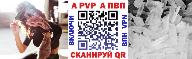Альфа ПВП СК  Туран 