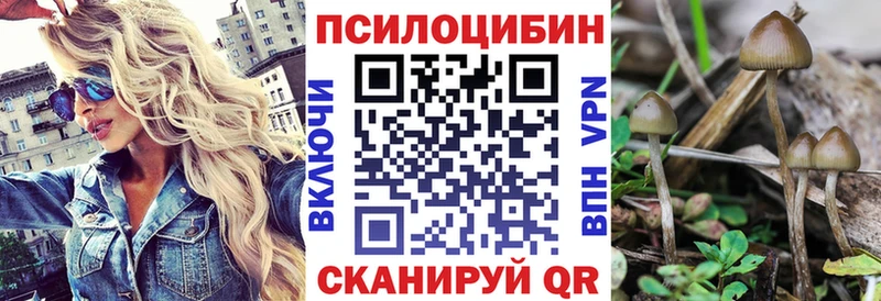 shop состав  Туран  Галлюциногенные грибы Magic Shrooms 